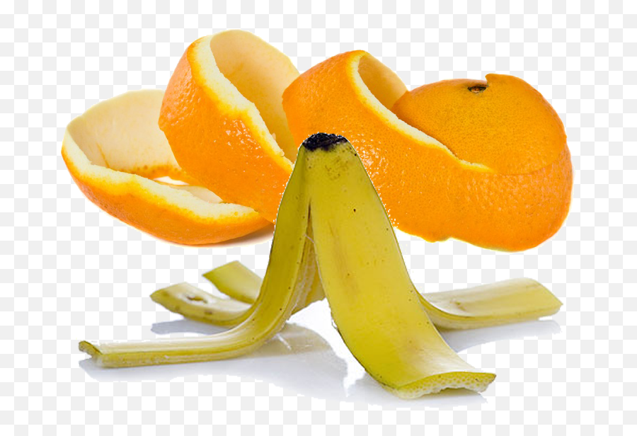 Orange Peel And Banana - Orange And Banana Peel Png,Banana Peel Png