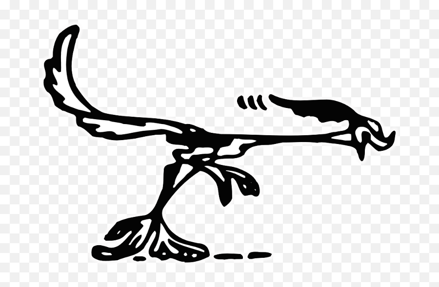 Download Hd Road Runner Transparent Png - Road Runner,Road Runner Png