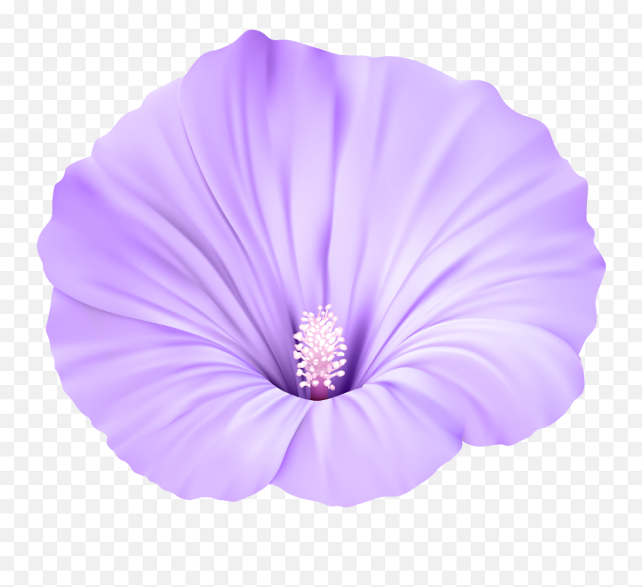 Violet Flower Png Picture - Violet Flower Png,Violets Png
