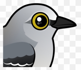 Meet The Cute Northern Mockingbird - Northern Mockingbird Mockingbird Cartoon Png,Mockingbird Png