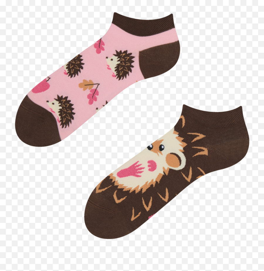 Ankle Socks Hedgehog - Dedoles Lenkové Ponožky Png,Hedgehog Png