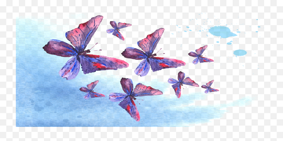Attract Butterflies With Campsite Butterfly Nectar Rv - Polyommatus Png,Watercolor Butterfly Png
