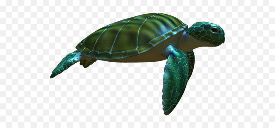 Green Sea Turtle Animation - Turtle Png Download 960540 Penyu Hijau Penyu Animasi,Turtle Transparent Background