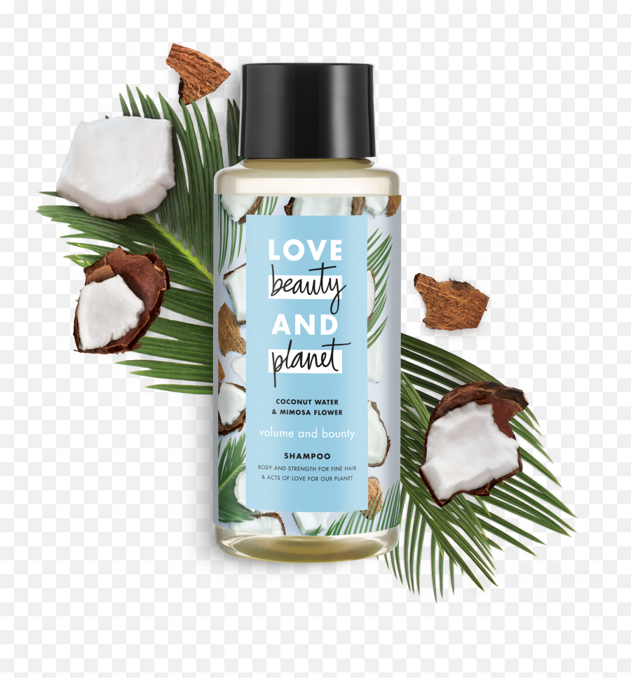 Build Bounce Into Your Hair With Love Beauty And Planet Png Shampoo