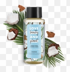 Build Bounce Into Your Hair With Love Beauty And Planet Png Shampoo