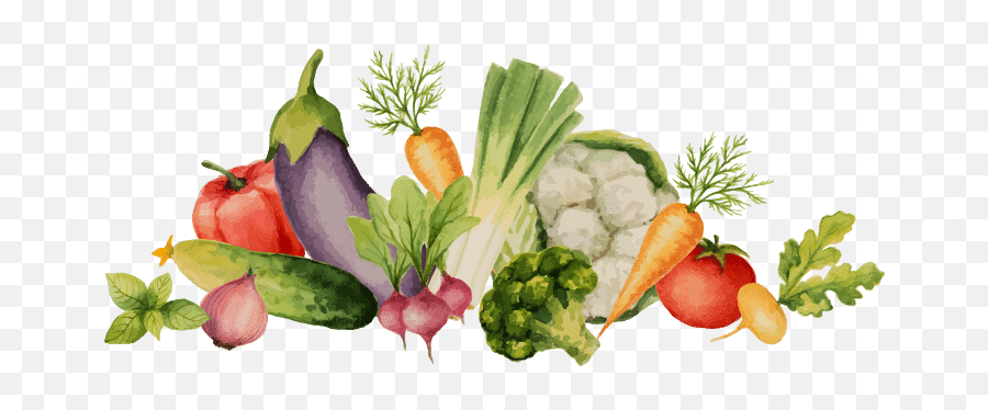 Download Hd Green Veggies - Diet Food Png,Veggies Png