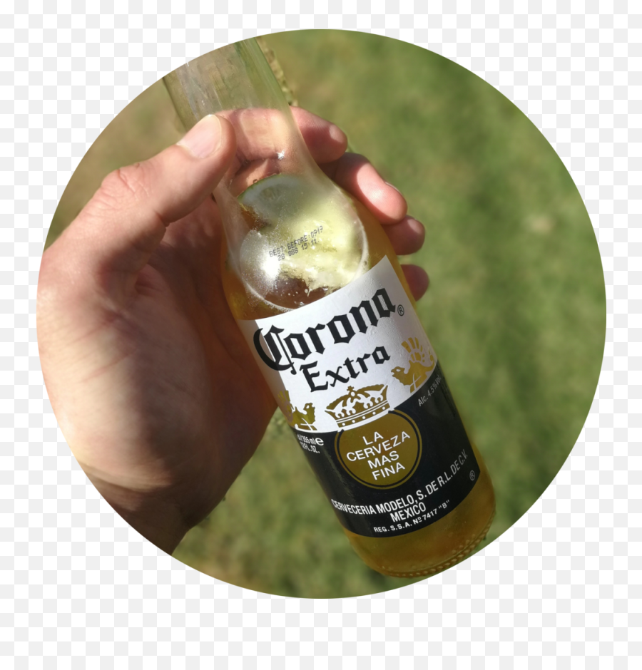 2019 Imho Beer Ratings - Lager U2014 Acetonic Corona Extra Png,Modelo Beer Png