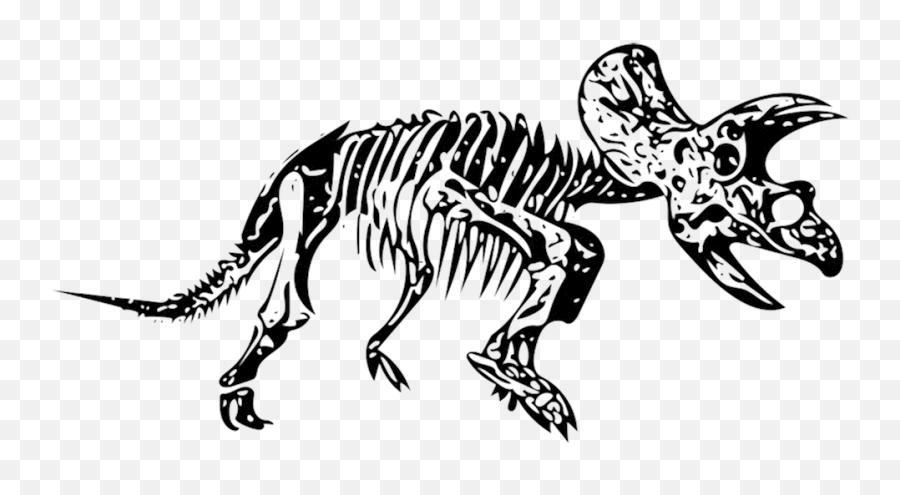Triceratops Dinosaur - Free Image On Pixabay Transparent Dinosaur Fossil Png,Triceratops Png