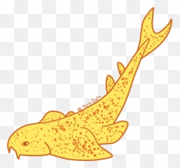 2019 Captive Whale Shark News Typus Data - Cartoon Angel Shark Png,Whale Shark Png