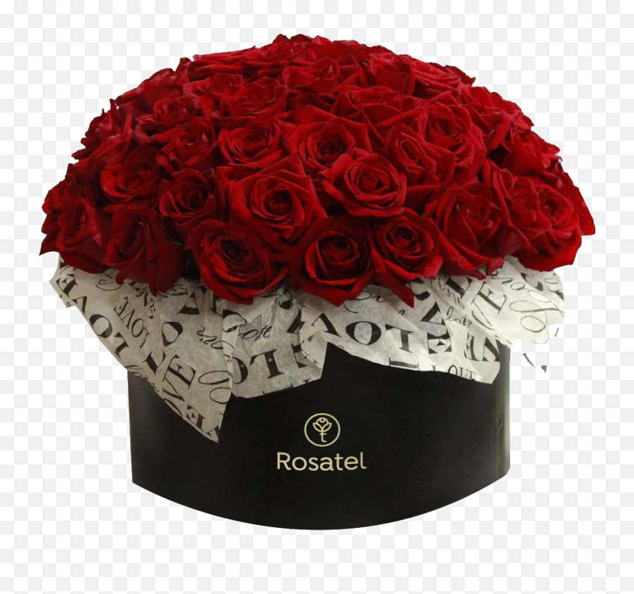 Sombrerera Negra Love Con 50 Rosas Rojas - Lovely Png,Rosas Rojas Png