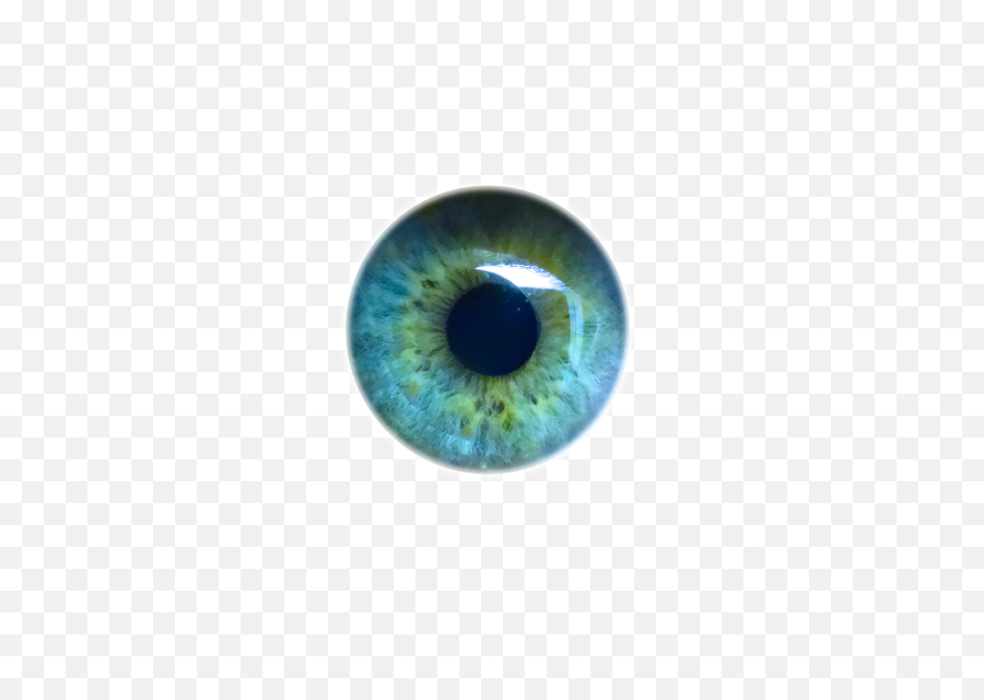 Iris Eyes Eye Light Pupil Human - Human Eyes Transparent Png,Eye Transparent