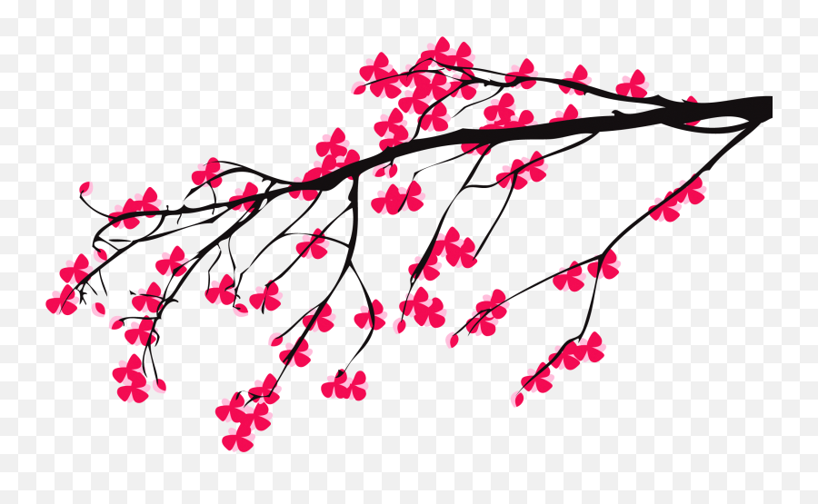 Cherry Blossom Branch Png - Cherry Blossom Tree Drawing,Cherry Blossom Branch Png