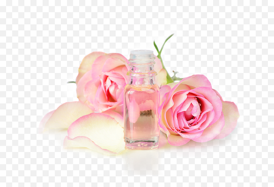 Rose Attar - Rose Oil Png,Essential Oils Png