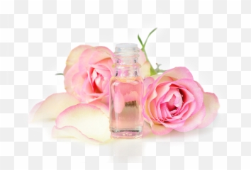 Rose Attar - Oil Png