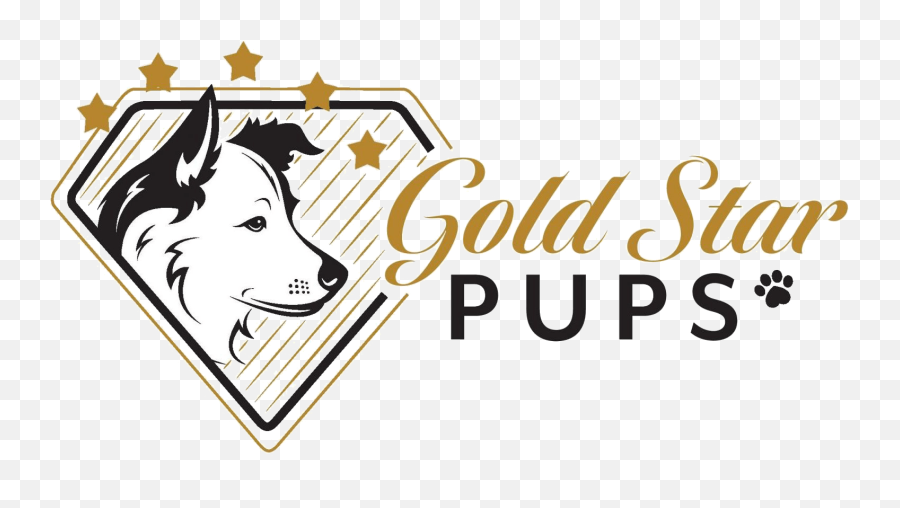 Customer Reviews Gold Star Pups Llc - Northern Breed Group Png,Starmade Icon