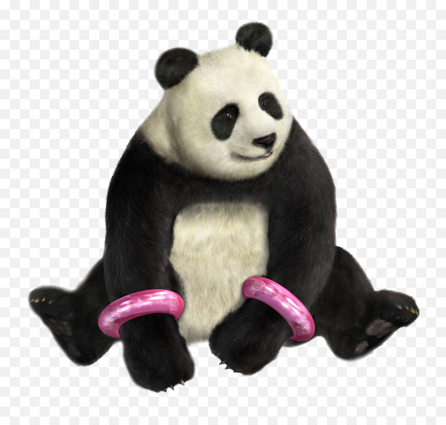 Truenotmeu0027s Image Panda Art Concept Gallery Png Tekken Icon