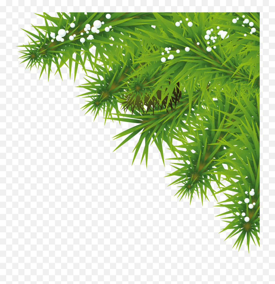 Pine Greenery Png Picture 804117 - Christmas New Year Greetings,Greenery Png