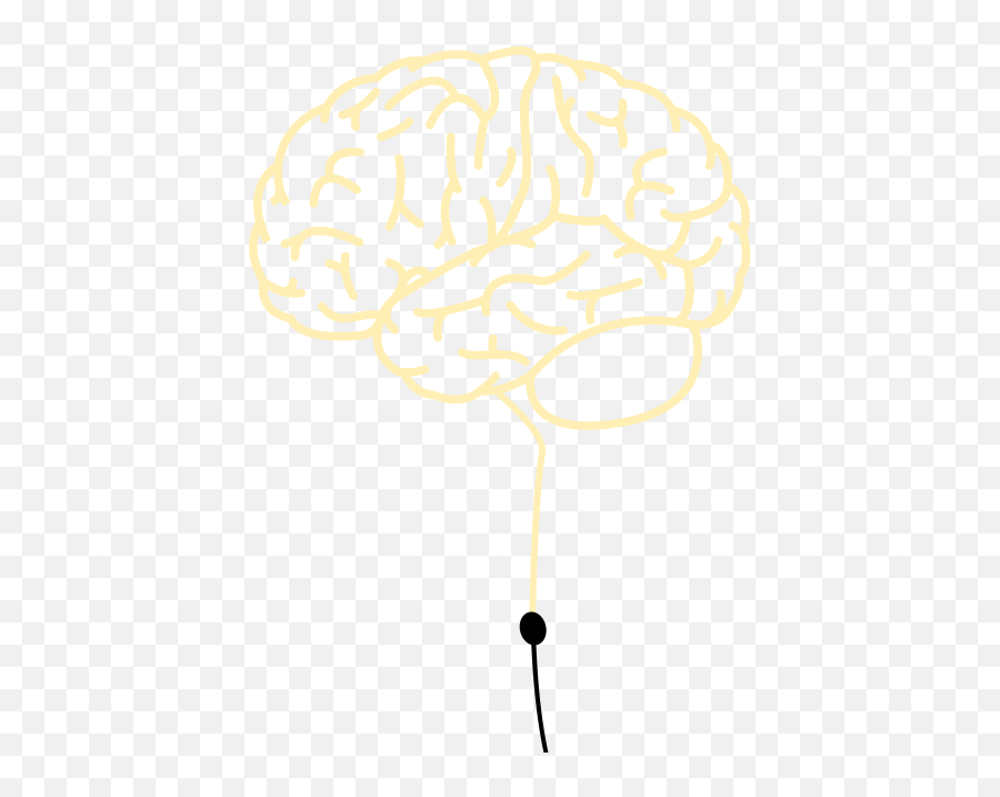 Shining A Light - Illustration Png,Human Brain Png