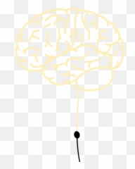 Shining A Light - Illustration Png,Human Brain Png