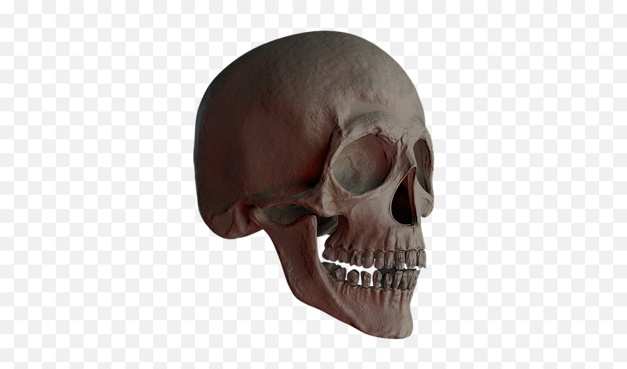 Skull And Crossbones Bone - Free Image On Pixabay Caveira Real Png,Bone Transparent Background
