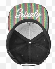Grizzly Hat - Mesh png
