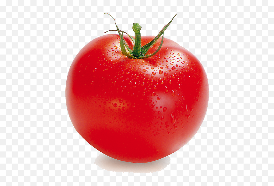 Red Tomatoes - Single Tomato Images Hd Png,Tomato Clipart Png