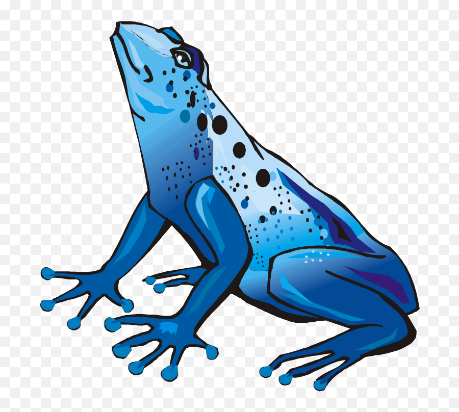 Download Frog Clipart Baseball - Poison Dart Frog Poison Dart Frog Clipart Png,Frog Transparent Background