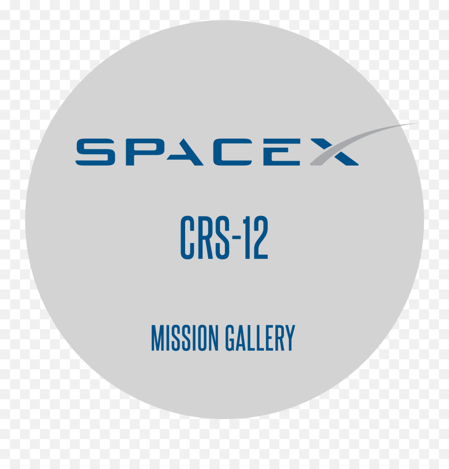 Spacex Png Logo