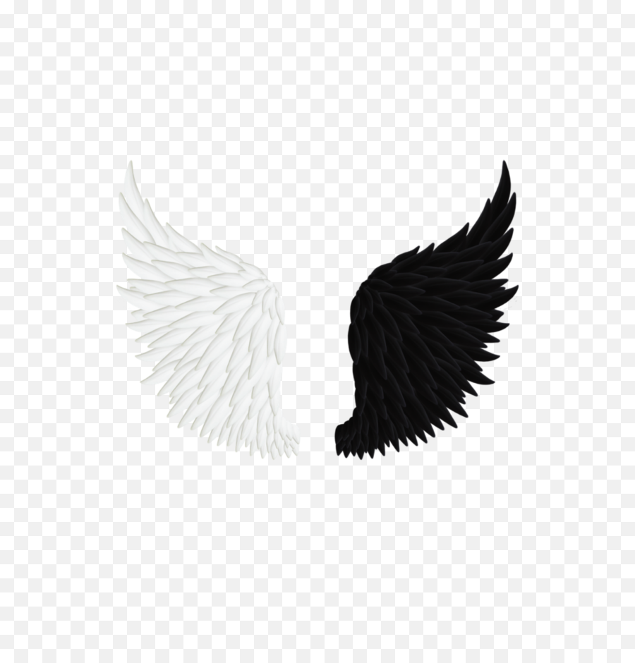 Angel Wings Png Transparent Image - Black And White Angel Wings Png,Wing Png