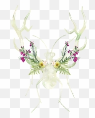Illustration U0026 Image Making U2014 Kendra Sevilla Design Png Beetle