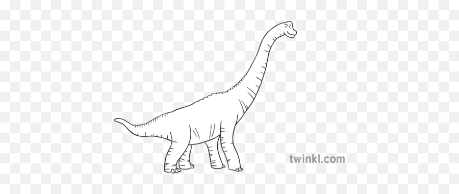 Brachiosaurus Black And White 2 - Lesothosaurus Png,Brachiosaurus Png