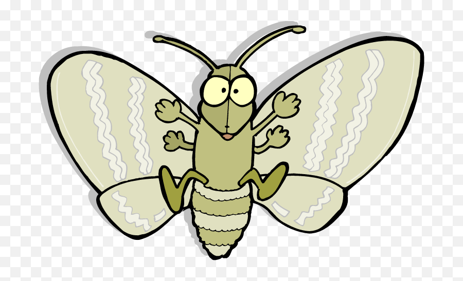 Download Moth Png Picture - Moth Cartoon Png,Moth Png