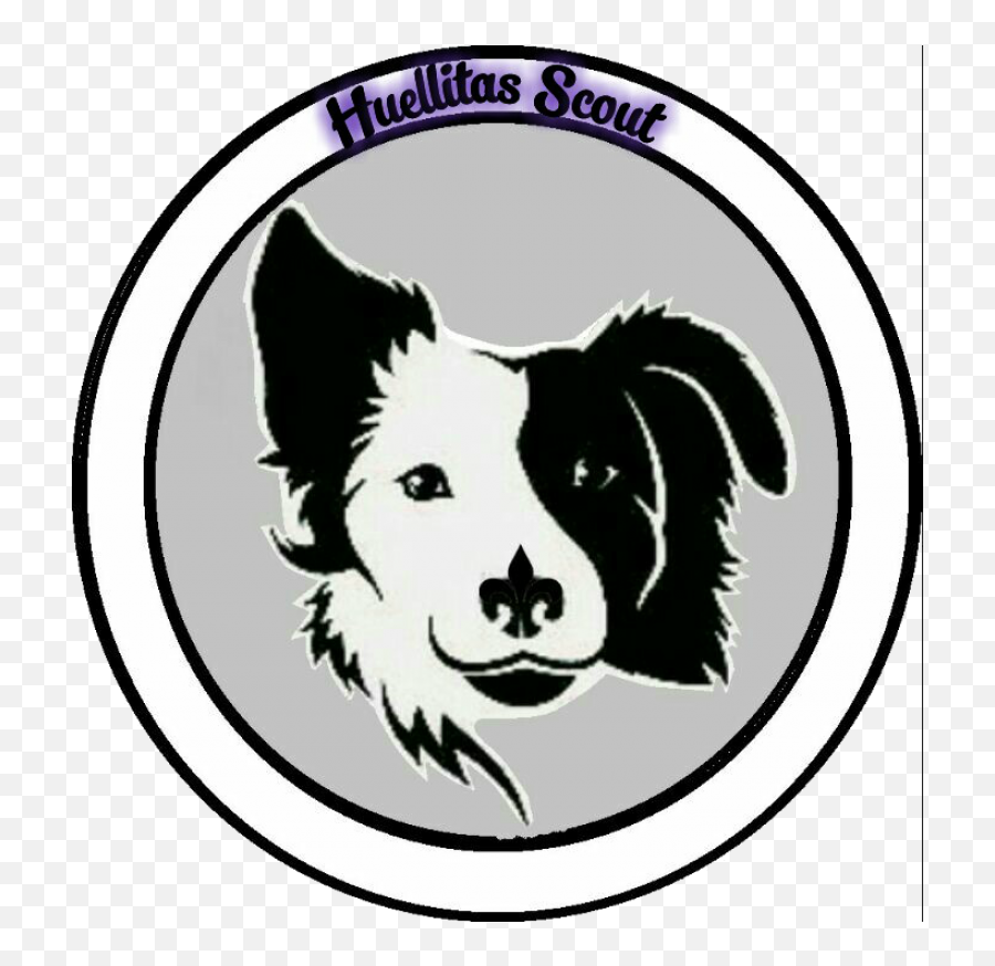 Border Collie Face Clipart - Sticker Border Collie Png,Border Collie Png