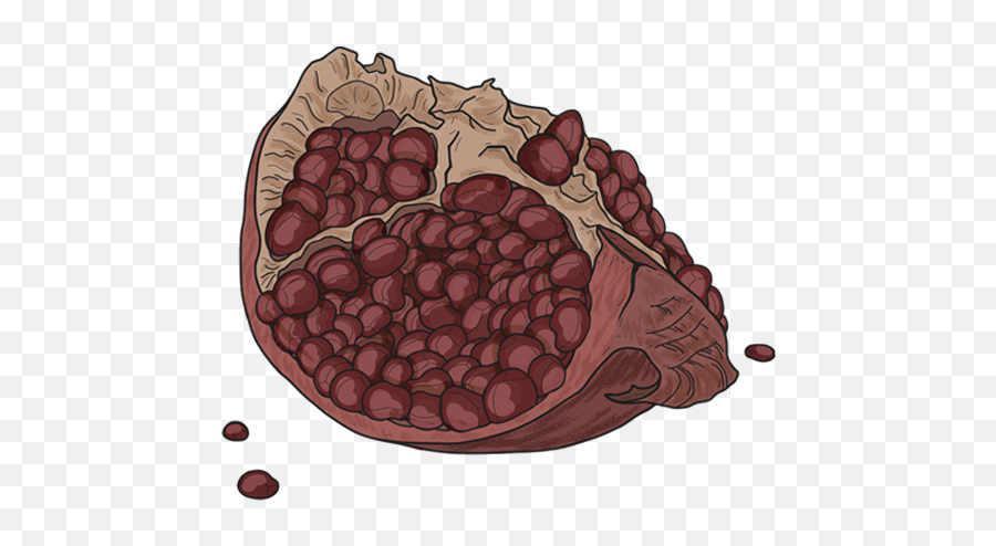Elle Strange - Frutti Di Bosco Png,Pomegranate Png Elle Strange - Frutti Di Bosco Png,Pomegranate Png