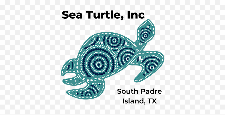 Cropped - Copyofuntitled1png U2013 Sea Turtle Inc Sea Turtle,Sea Turtle Png