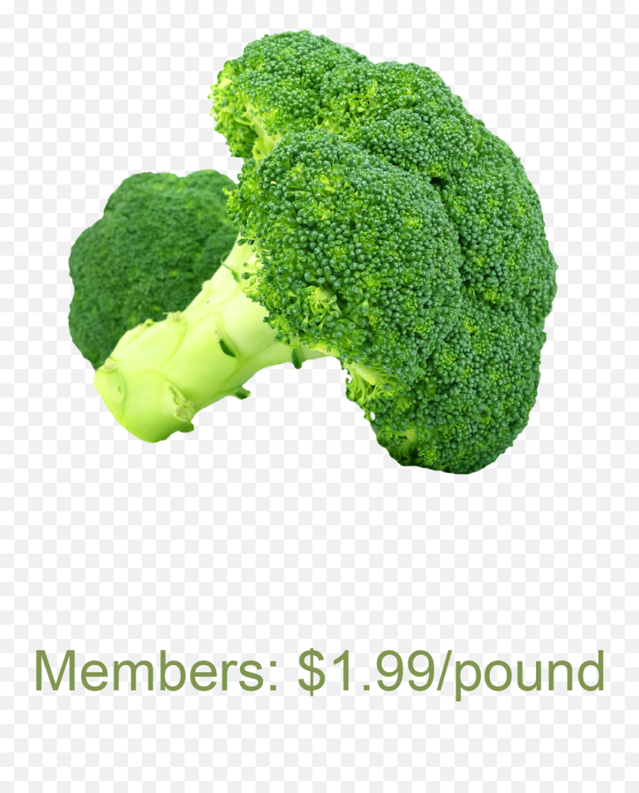 Broccoli - Brócoli Png,Broccoli Png
