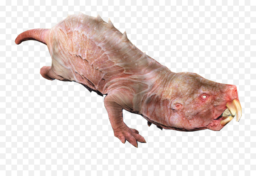 Mole Rat Fallout 76 Wiki Fandom - Naked Mole Rat Png,Rat Transparent Background