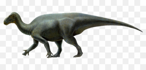 Filelife Restoration Of Iguanacolossus Transparentpng