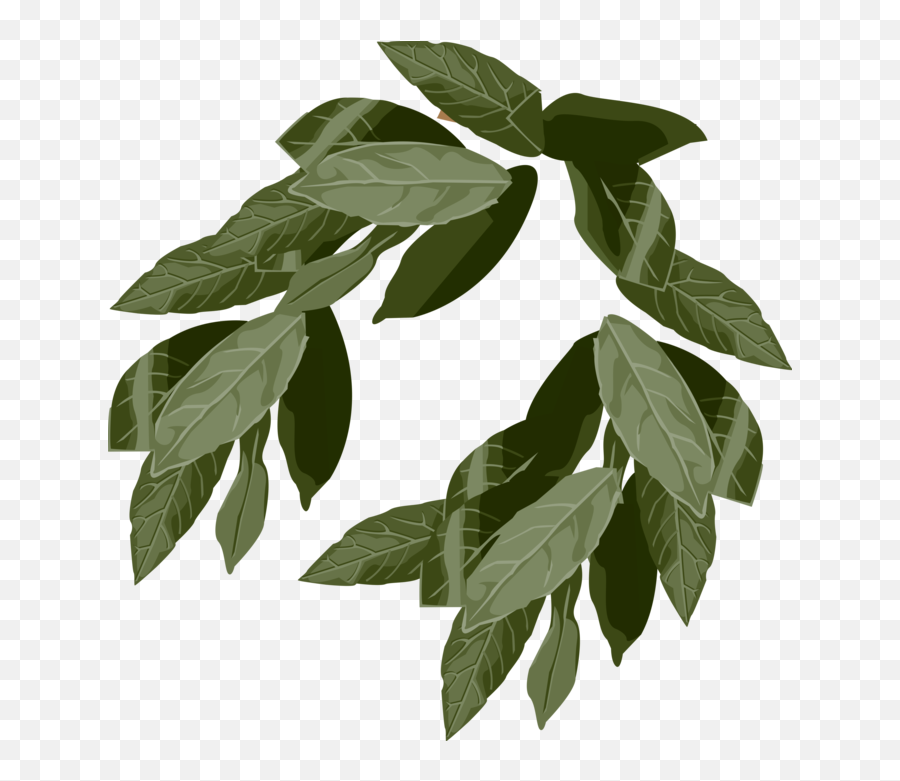 Ancient Laurel Wreath Symbol Of Victory - Vector Image Transparent Leaf Crown Png,Laurel Wreath Transparent