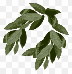 Ancient Laurel Wreath Symbol Of Victory - Vector Image Transparent Leaf Crown png