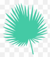 Fan Palm Leaf Silhouette - Transparent PNG u0026 SVG vector file Palm Leaf Silhouette