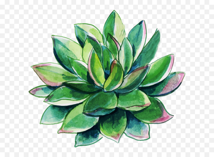 Free Png Watercolor Floral - Konfest Agave,Watercolor Clipart Png
