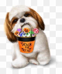 Afghan Hound Shih Tzu Dog - Cachorro Shih Tzu Png Desenho,Shih Tzu Png