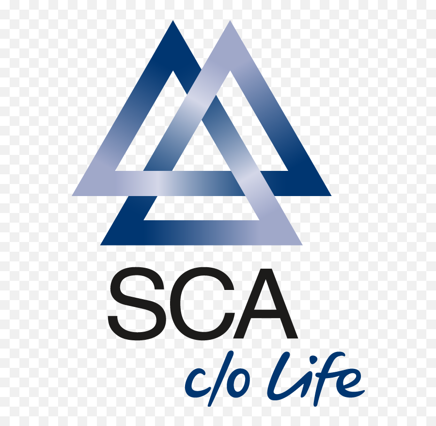 The Branding Source New Logo Sca - Sca C O Life Png,Valknut Png