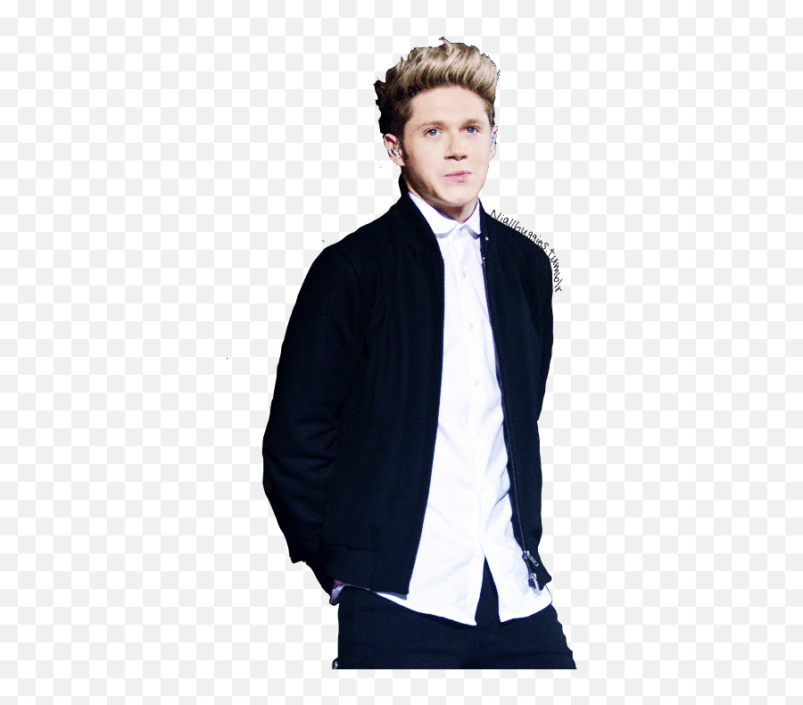 Niall Horan Png Tumblr - Standing,Niall Icon