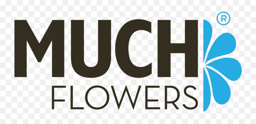 Muchflowers - Poster Png,Simple Flower Png