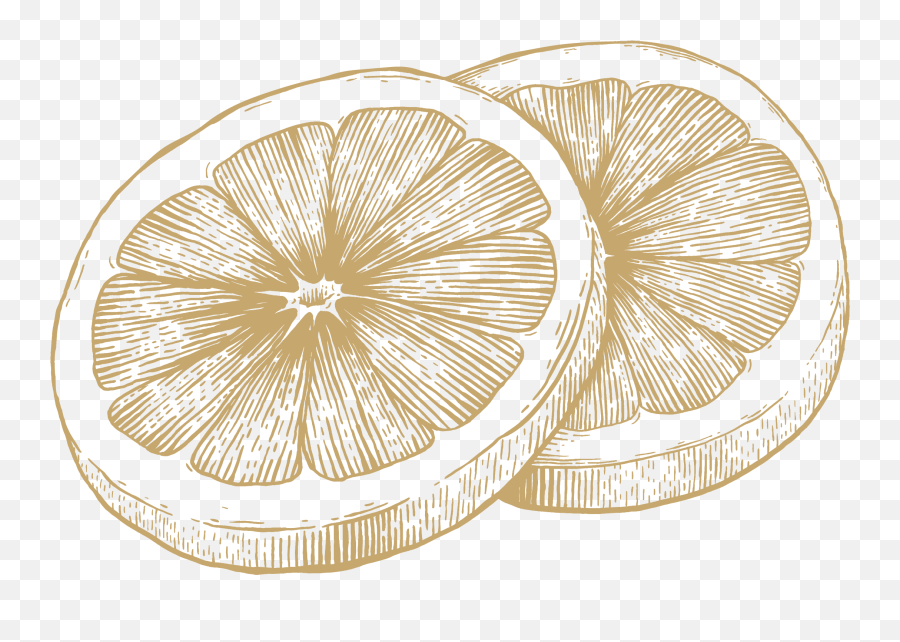 Lillet Winter Tarte U2022 - Juice Vesicles Png,Lemon Slice Icon