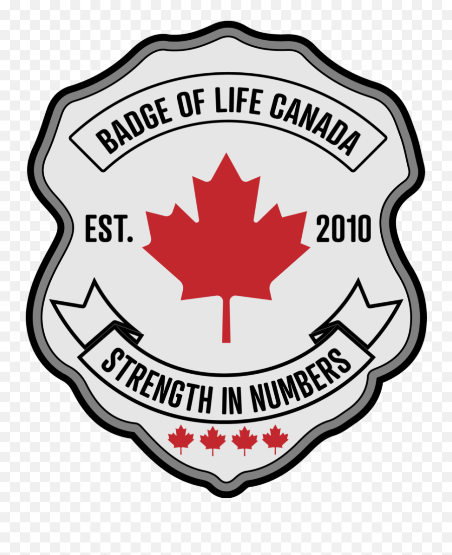 Our Programs - Badge Of Life Canada Badge Of Life Canada Png,Injustice 2 Icon