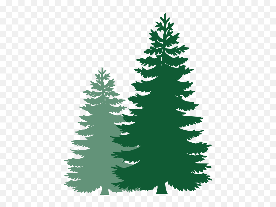 Download Pine Tree Vector Clipart - Christmas Tree Clipart Pine Tree Silhouette Png,Christmas Tree Vector Png