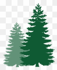 Download Pine Tree Vector Clipart - Christmas Silhouette png